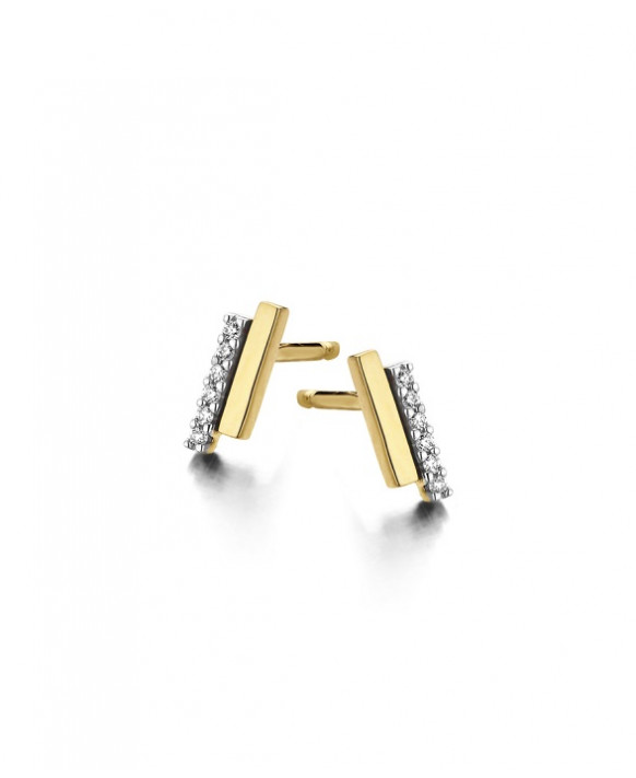 Boucles oreilles Diamants 0,04 ct Or jaune et blanc 750/1000ème